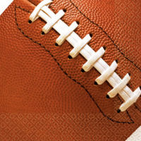 Football Fan Beverage Napkins (16 ct)